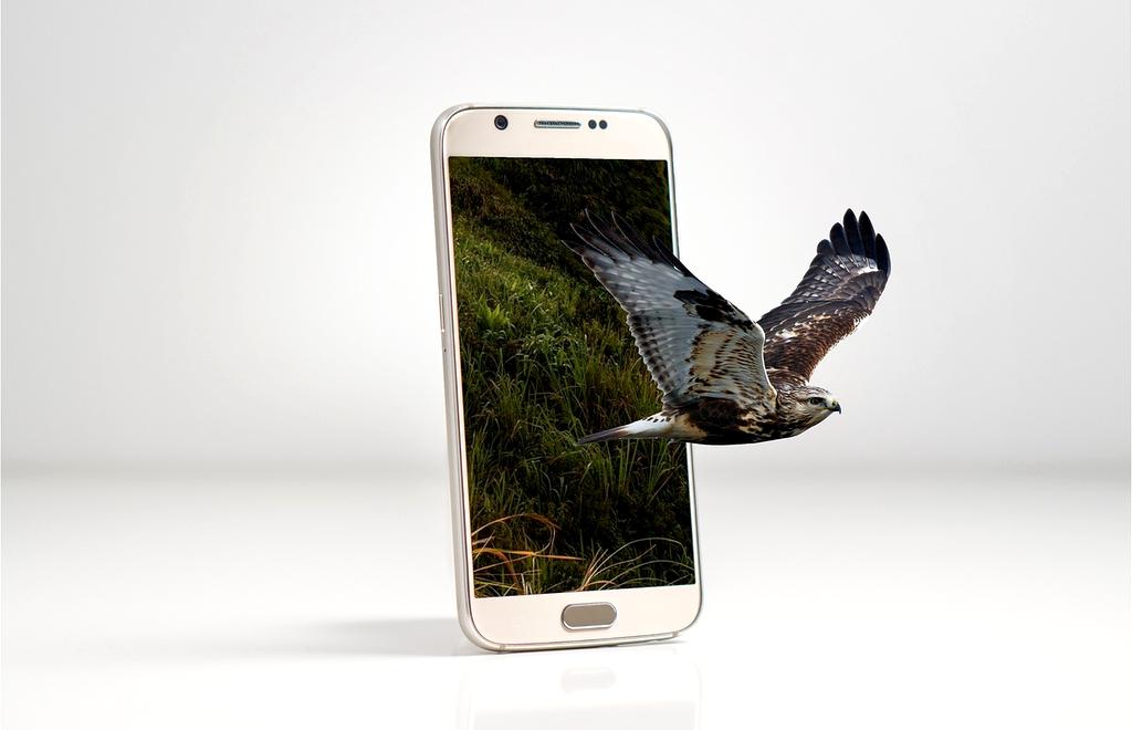 Advanced VR Experience Package